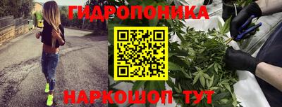 ALPHA PVP Кандалакша