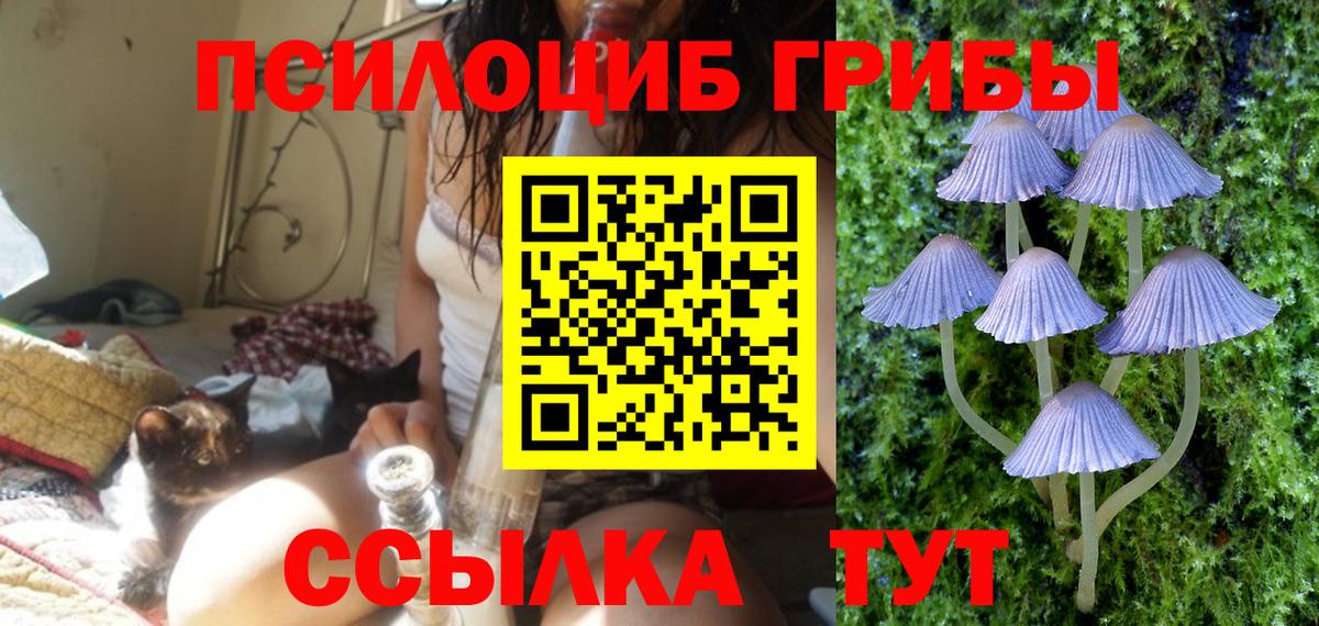 Псилоцибиновые грибы MAGIC MUSHROOMS Лениногорск