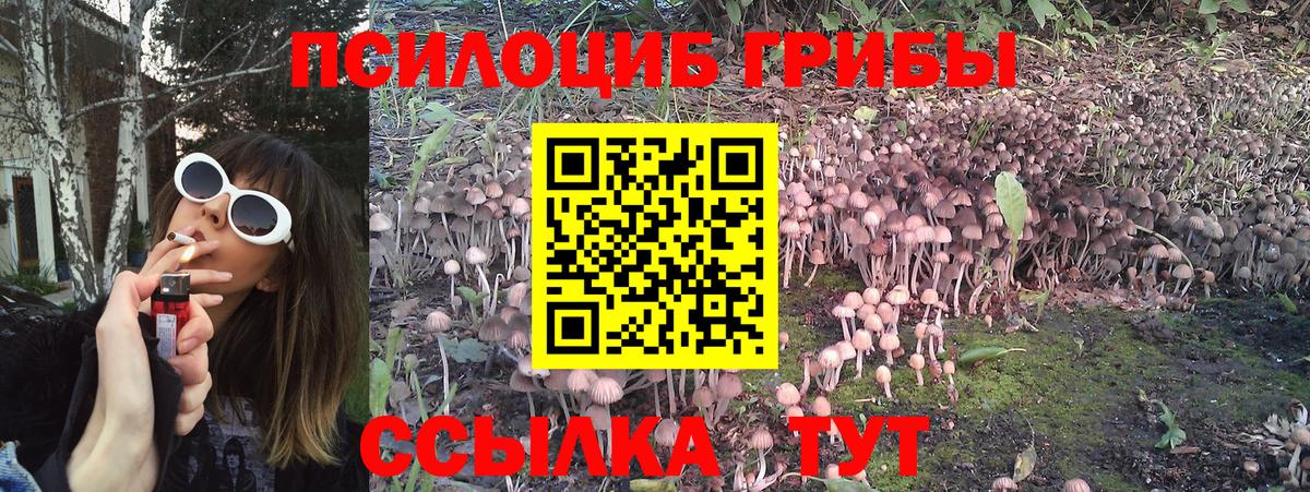 Галлюциногенные грибы мухоморы  купить наркотики цена  Псилоцибиновые грибы мицелий  Лениногорск  Вход с VPN 